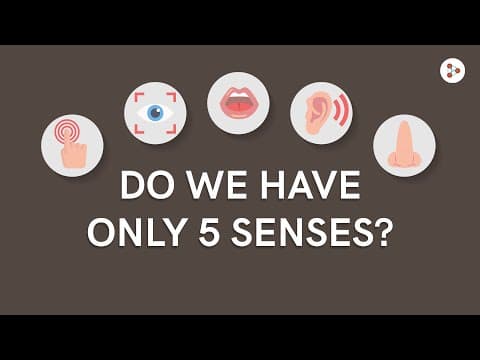 Do we have only 5 senses?