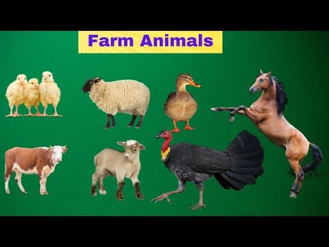 Farm Animals ...Meet Our Adorable Farm Companions !!!