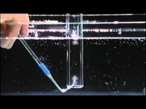 The Ring of Truth - Two Hydrogen Atoms and One Oxygen Atom