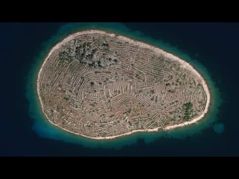 Why do scientists think fingerprint island used to be a vineyard?