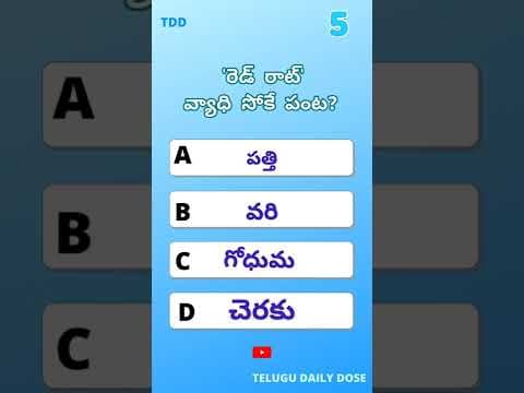 Gk Quiz | GK Questions 