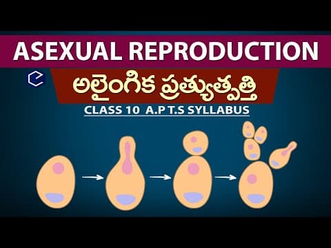 అలైంగిక ప్రత్యుత్త్పత్తి విధానం ASEXUAL mode of Reproduction in telugu
