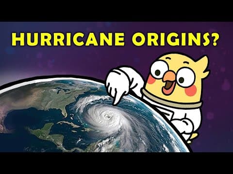 Why Is Coral an Animal and Not a Plant?