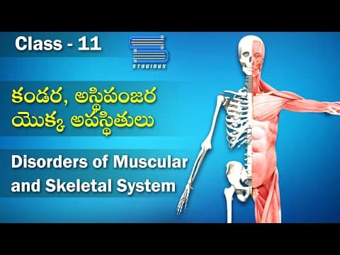 కండర, అస్థిపంజర యొక్క అపస్థితులు – Disorders of Muscular and skeletal system | Biology