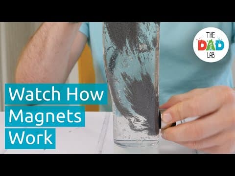 Magnetic field science experiment for kids
