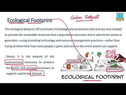 What is Ecological Footprint ? || Ecological Footprint అంటే ఏమిటి?
