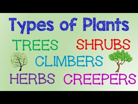 Plants Around Us | Types of Plants | Different Types of Tree | Plants for kids