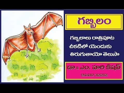 Telugu -  Story 3 - తెలుగు నీతికథలు - gabbilam ( గబ్బిలం )
