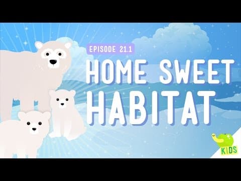 Home Sweet Habitat & Food Webs – Crash Course Kids