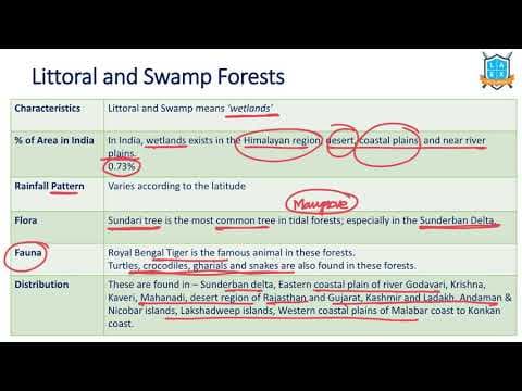 What is a Littoral and Swamp Forest ? || Types of Forests in India అంటే ఏమిటి?