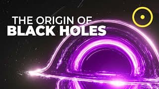 Is This Where Black Holes Came From