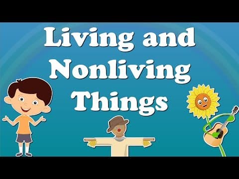 Living and Nonliving Things | #aumsum #kids #science #education #children - YouTube