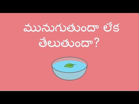 మునుగుతుందా లేక తేలుతుందా? - Does it Sink or Float? (Telugu)