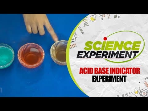 Science Experiment - 17 | Acid Base Indicator Experiment | Easy Chemistry Experiments