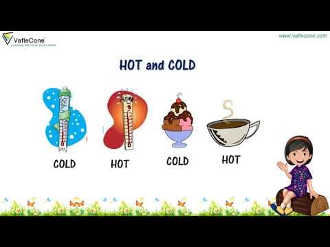 Sense organs l My sense organs l Environment Science