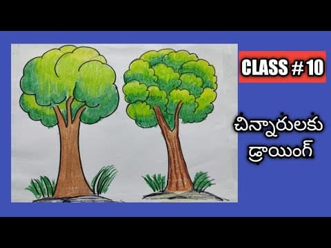 Drawing in telugu || how to draw a simple tree||