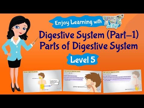 Digestive System (Part-1) | Parts of Digestive System | Science