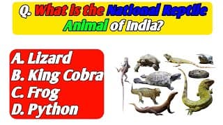 Top 20 GK Questions And Answers  || GK Quiz