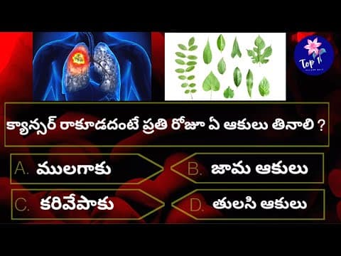 Unique general knowledge Telugu questions with answers #Ep21 | Telugu quiz| Gk quiz | gk bits