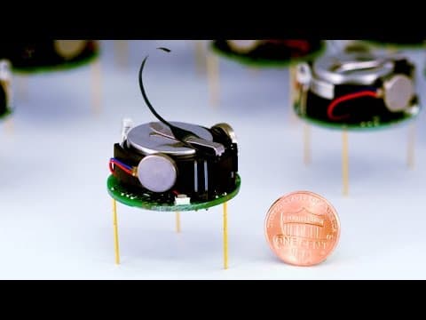 These Tiny Robots Are Shaping the Future... All By Themselves!
