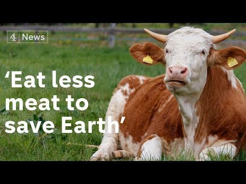 How climate crisis threatens world’s food supply and land - YouTube