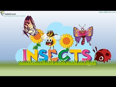 Learn about insects for Kids l All about insects for children