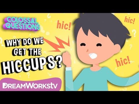 Why Do We Get Hiccups? | COLOSSAL QUESTIONS