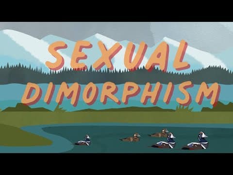 Baby foxes play with a GoPro