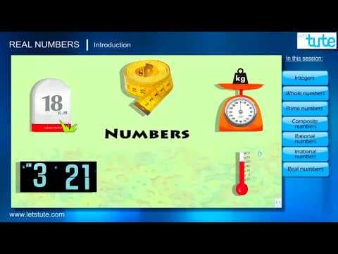 Copy of Everything You Need to know About Real Numbers | Algebra