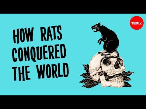 The history of the world according to rats