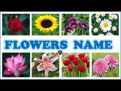 Flowers names for kids - Flowers name in English