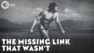 The Missing Link That Wasn’t