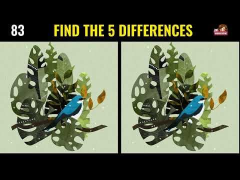 Find the Difference Game (NO.4) - Can You Find Them All?