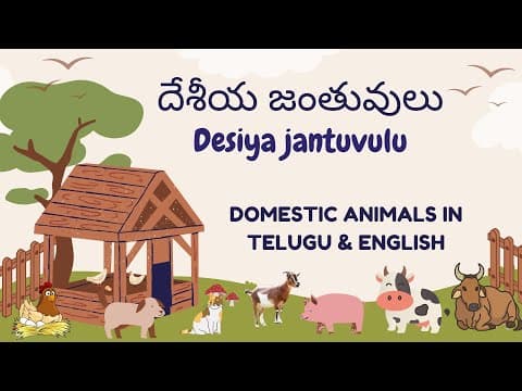 పెంపుడు జంతువులు - learn domestic animals name