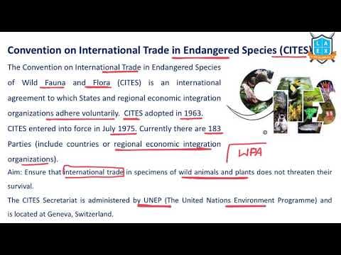 What is CITES ? || CITES అంటే ఏమిటి?