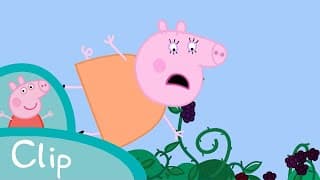 Peppa Pig Episodes - The blackberry bush