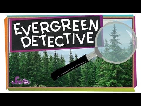 Guess That Tree! | Science for Kids