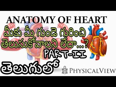 ANATOMY OF HEART PART 2 | IN TELUGU | WHY DON'T YOU KNOW ABOUT YOUR HEART....?