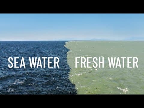 Fresh Water Meets Sea Water – Boundary Explained - YouTube