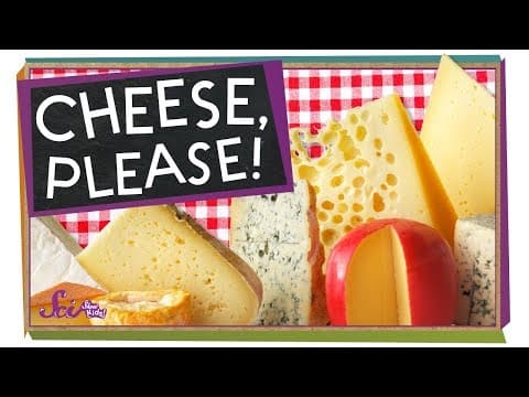 Why Does Some Cheese Have Holes?