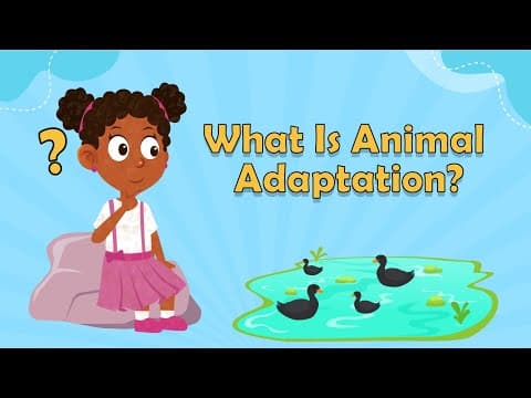 What Is Animal Adaptation? - Fun Facts About Animals - Fun Facts for Kids - Animal Facts for Kids