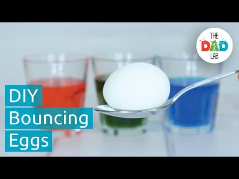 How to Make Bouncy Egg Science Experiment