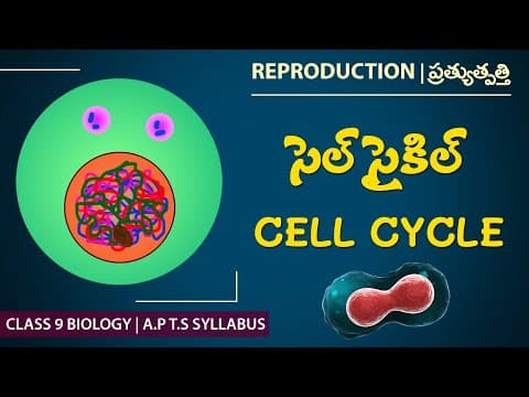 Cell Cycle in Telugu & English |కణ విభజన | Pratyutthpatti