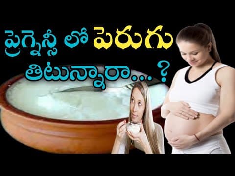 eating curd during pregnancy is it safe in telugu|curd is good for pregnant lady