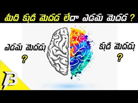 Right brain vs left brain test - personality test