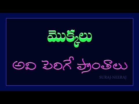 Plants and Names/Telugu General Knowledge Video