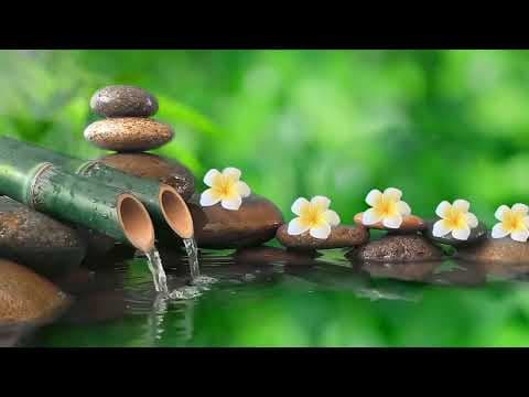 [If you listen to it for 5 min you will go into deep sleep immediately] Relax the music of the water