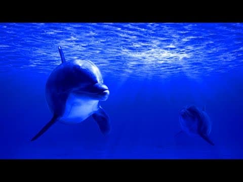 Relaxing Sleeping Music - Soothing Meditation Music - Stress Relieving & Calming Music