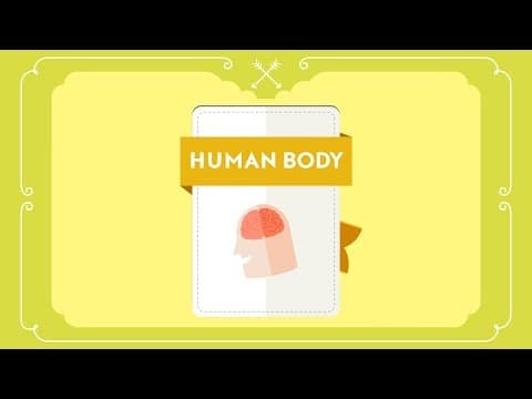 What? Why? How? - HUMAN BODY