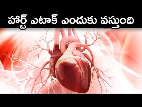 How Heart Attack Occurs | How Heart Works Explained In Telugu
